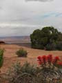 Canyonlands - Grand View Point